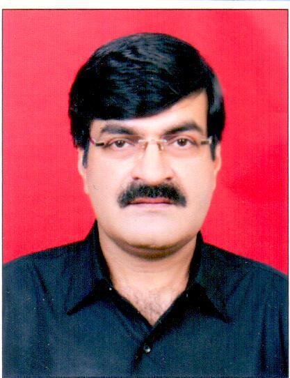 Dr. R. P. Dubey, Chief Executive Director (Ports, Harbours & Inland Waterways)